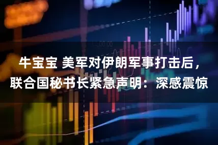 牛宝宝 美军对伊朗军事打击后，联合国秘书长紧急声明：深感震惊