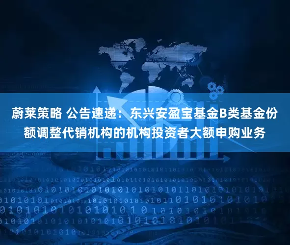 蔚莱策略 公告速递：东兴安盈宝基金B类基金份额调整代销机构的机构投资者大额申购业务