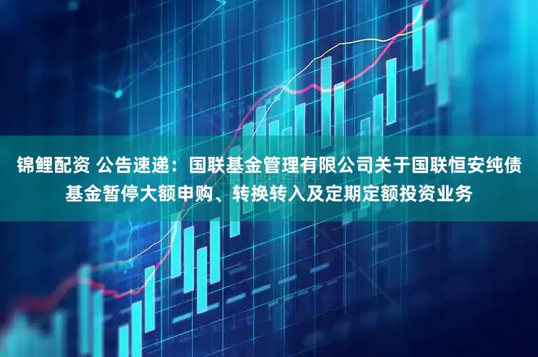 锦鲤配资 公告速递：国联基金管理有限公司关于国联恒安纯债基金暂停大额申购、转换转入及定期定额投资业务