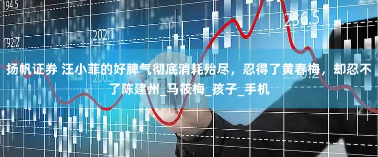 扬帆证券 汪小菲的好脾气彻底消耗殆尽，忍得了黄春梅，却忍不了陈建州_马筱梅_孩子_手机