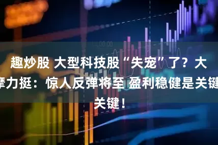 趣炒股 大型科技股“失宠”了？大摩力挺：惊人反弹将至 盈利稳健是关键！